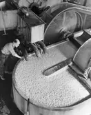 En man som arbetar på Papyrus fabriker i Mölndal.