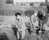 Förskola i Guldheden, Göteborg, 1945-. Pojkar som leker i sandlådan.