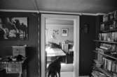 Bostadshus Roten M 10, okänt årtal. Interiörbild av två rum varav en hund i det ena.