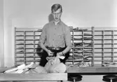 Brevbärare Karl Rune Wikström sorterar post på postexpeditionen
Barkarby.Fotografier av Hans Pehrsson, Solna. Foton 1956-11.