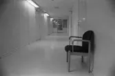 Dokumentation av Sagåsens flyktingförläggning 1992. En inomhuskorridor, med stängda dörrar på båda sidorna. Utefter väggen på höger sida står en stol. I bakgrunden ser man en stängd glasdörr.