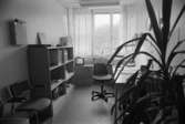 Dokumentation av Sagåsens flyktingförläggning 1992. Ett kontorsrum möblerat med skrivbord, stolar, stor yucca-palm samt förvaringsmöbel.