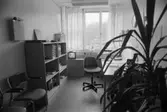 Dokumentation av Sagåsens flyktingförläggning 1992. Ett kontorsrum möblerat med skrivbord, stolar, stor yucca-palm samt förvaringsmöbel.