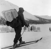 Lantbrevbärare i fjällbygden Anders Julius Thomasson på lbb-linjen Hallen-Glen-Hosjöbottnarna-Hallen.