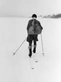 Lantbrevbärare Hugo Lundmark,  Jäckvik, (skidåkande) på
linjen  Jäckvik - Merkenis   (60 km.)  April 1952.