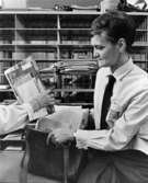 Bandhagen 1, Sverige