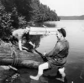 Bror Sigfridsson och Albert Persson drar upp en ekstock ur Nordsjön, för bearbetning till möbeltillverkning i Alberts verkstad på Långö, 1940.