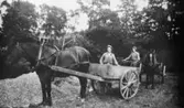 Arvid och Gustav bygger väg i Hällesåker, 1930. De har var sin häst med en kärra som kallades (Goppa), en kärra med flak som var ledad vid hjulaxeln. Fullt lass tippades med lätthet.