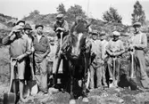 Albert Persson på vägbygge i Hällesåker, 1940-talet.