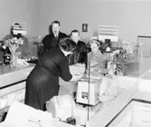 Djursholm 1, Sverige