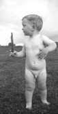 Tvåårige Leif Garthman står naken på en gräsmatta. Mölndal, 1945.