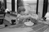 En pojke sitter vid ett bord, inomhus på Katrinebergs daghem, och limmar silkespapper på en uppblåst ballong. Limmet ligger på en plasttallrik framför honom och han jobbar koncentrerat.