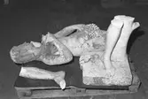 Dokumentation av lagning av skulpturer Bacchus och Flora efter sönderslagningen 1993.