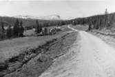 Bildiligenslinjen Strömsund - Jormlien.  Mitten av 1930-talet.  På vägen till Ankarede, i riktning mot Blåsjön. Norskfjället Joma i mitten på bilden.