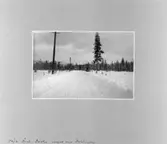 Åsele, Dorotea, Sverige