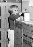En flicka står vid en skänk och lägger i/tar ur något i en burk. Holtermanska daghemmet 1953.