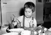 Ett barn som pysslar vid ett bord. Holtermanska daghemmet 1953.