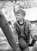 En pojke som sitter i ett klätterträd. Holtermanska daghemmet juni 1973.