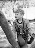 En pojke som sitter i ett klätterträd. Holtermanska daghemmet juni 1973.
