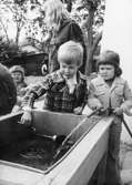 Barn som fyller en behållare med vatten. Holtermanska daghemmet juni 1974.