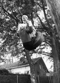 Två barn som gungar. Holtermanska daghemmet juni 1974.