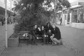 Ungdomar vid en bänk på Brogatan. Mölndalsbro i dag - ett skolpedagogiskt dokumentationsprojekt på Mölndals museum under oktober 1996. 1996_0968-0986 är gjorda av högstadieelever från Kvarnbyskolan 9A, grupp 4. Se även 1996_0913-0940, gruppbilder på klasserna 1996_1382-1405 samt bilder från den färdiga utställningen 1996_1358-1381.