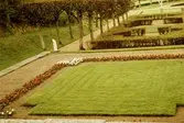 Del av Gunnebo slottspark, juli 1991.