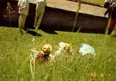 Personer fotograferade bakifrån. Gunnebo slott, juni 1990.
