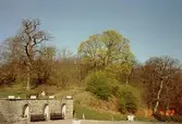 En stenmur med en kulle bakom. Gunnebo slott, april 1990.
