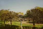 Gunnebo slottspark, maj 1989