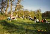 Gunnebo slottspark, maj 1989