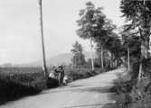 Postförare på linjen Cibadak - Bodjonglopang, Java, Indonesien, 1920-talet.