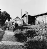 Posten från Möjas poststation transporteras ned till Bergs brygga
f.v.b. till Stockholm med 16.30-båten. Poststationsföreståndaren fru
Gulli Öding har hjälp av sin dotter Gunilla (t.h.) och hennes väninna
Ingrid Sjöblom.