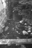Vattendrag med rör över, hösten 1994. Före detta spinneriet Bettyholm/Carlsfors/Forsåkers fabriker 