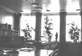 Mölndals stadshus, mars 1988. Interiör: Ett kontorsrum med bord, stolar och växter i fönstrena.
