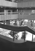 Utsikt över stadshushallen i Mölndals stadshus, juni 1994.
