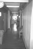 Korridor till kontorsrum i Mölndals stadshus, juni 1994.