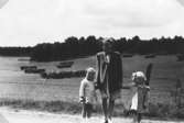 Midsommartid 1947 i Stretered. Rosa Pettersson är på promenad med dottern Eva (gift Kempe) och hennes lekkamrat Lena Englund. I bakgrunden ses hässjor med hö på tork.