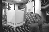 Från vänster: Gotthard Olsson och troligen Tage Carlsson arbetar med pallpackning i pappersfabriken, Byggnad 6. Bilden ingår i serie från produktion och interiör på pappersindustrin Papyrus, 1980-tal.