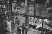 Interiör från pappersfabriken, rör och kablar, 1980-tal.
Bilden ingår i serie från produktion och interiör på pappersindustrin Papyrus.