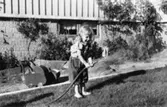 Karin Pettersson (gift: Hansson) sprutar vatten med en trädgårdsslang på Gamlehagsvägen i Torrekulla, ca 1950.