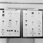 Ett par ramar med sportmotiv.