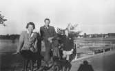 Sommar i Lindome i början av 1940-talet. En kvinna, en man och ett barn står med en hund i koppel vid en grusväg.