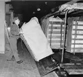 Ankommande paket från postorderfirman Viskadals fabrik. De är redan
färdigetiketterade och taxerade och kan utan föregående invägning
tömmas på sorteringsbanan.