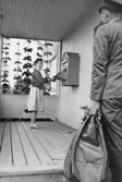 Postdiligens på linjen Dorotea - Borgafjäll, i Västerbottens län,
juli 1963. Poststationsföreståndare Ingrid
Kämpe tömmer poststaionens i Risbäck brevåda