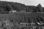 Byggnadsinventering i Lindome 1968. Roggelid 2:1.
Hus nr: 091B4020.
Benämning: permanent bostad och ladugård.
Kvalitet: god.
Material: trä.
Tillfartsväg: framkomlig.