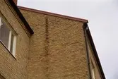 Nordenskiöld 2. Detalj av fuktskada på södra gaveln, vid sammanbyggnaden med nr 3.