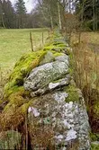 Hägnaderna/Västra Hägna - fägatan, detalj stenmur.