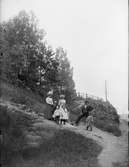 Elin, Olle, Carin, Marianne, Lisa, Erik, och Frithiof Liljefors i Visbohammars hage, Gnesta, Södermanland 1900 - 1901