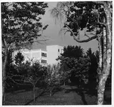 Torrmjölksfabrik, Cloetta
Exteriör